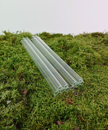 umweltfreundliche Glasstrohhalme 10er Set gerade