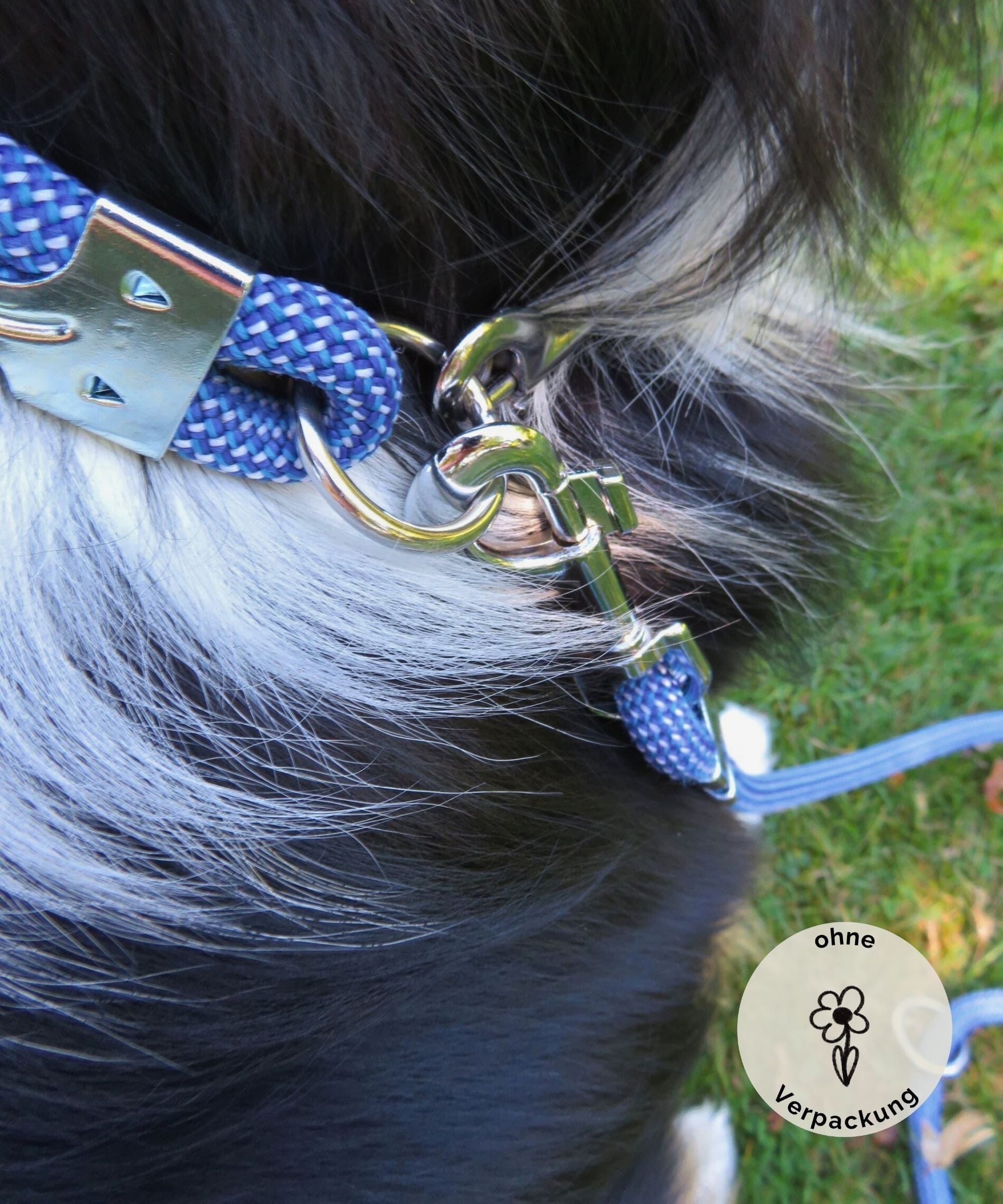 Halsband für Hunde aus upgecycelten Kletterseilen mit Hund