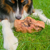 Kauwurzel aus Baumheide Größe L in Action mit Hund